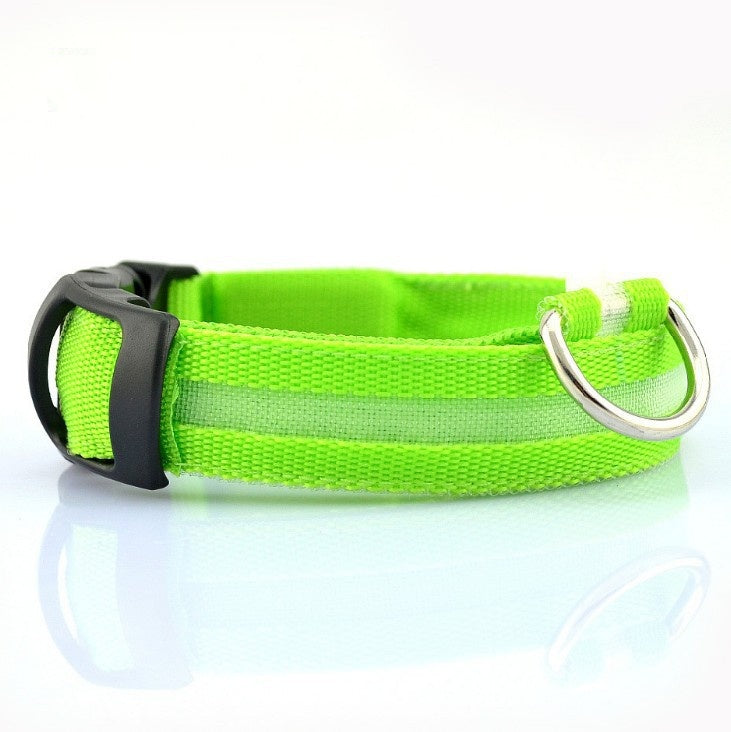 🐶 LED Safety Dog Collar – Don't Let Darkness Put Your Pet at Risk! 🌙