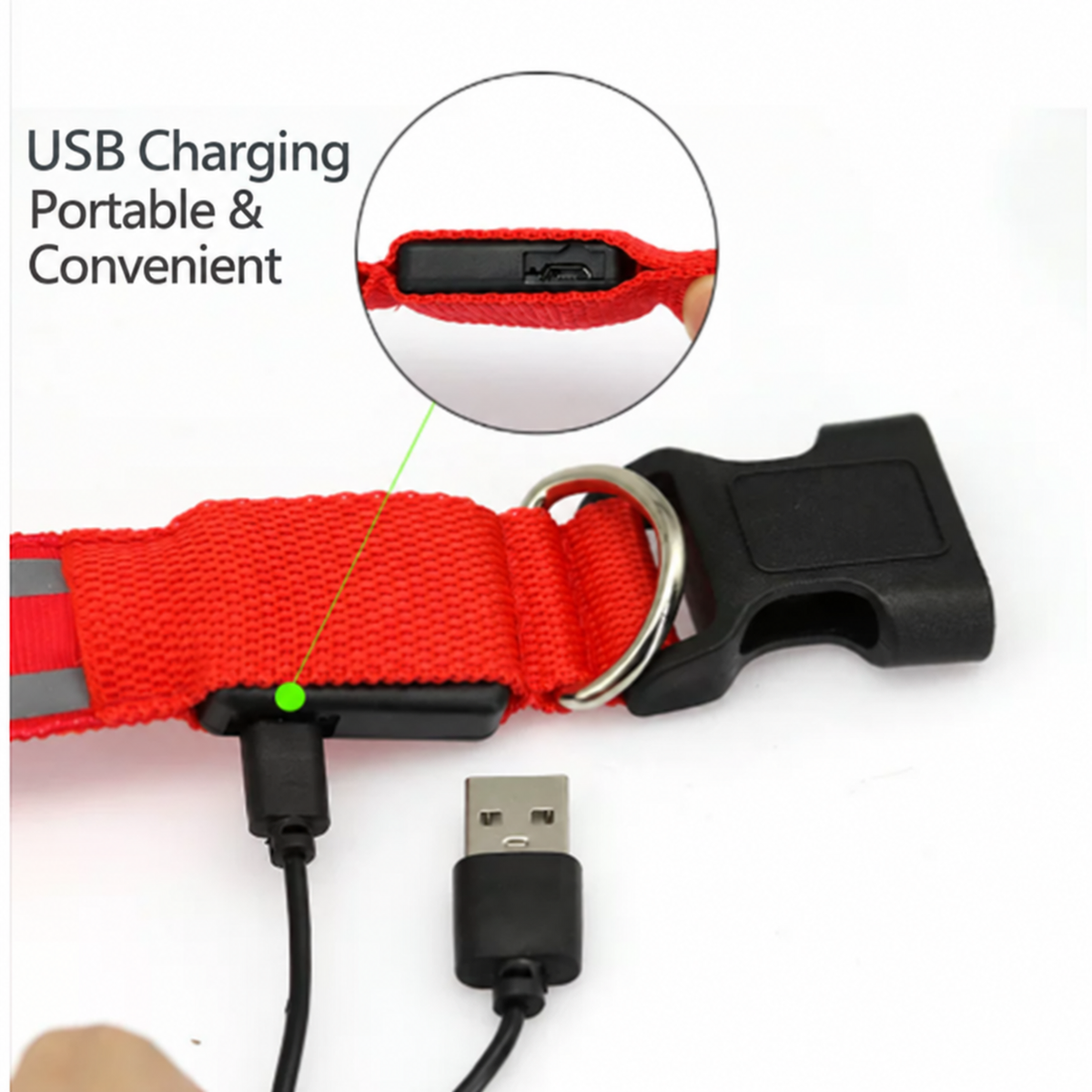🐶 LED Safety Dog Collar – Don't Let Darkness Put Your Pet at Risk! 🌙