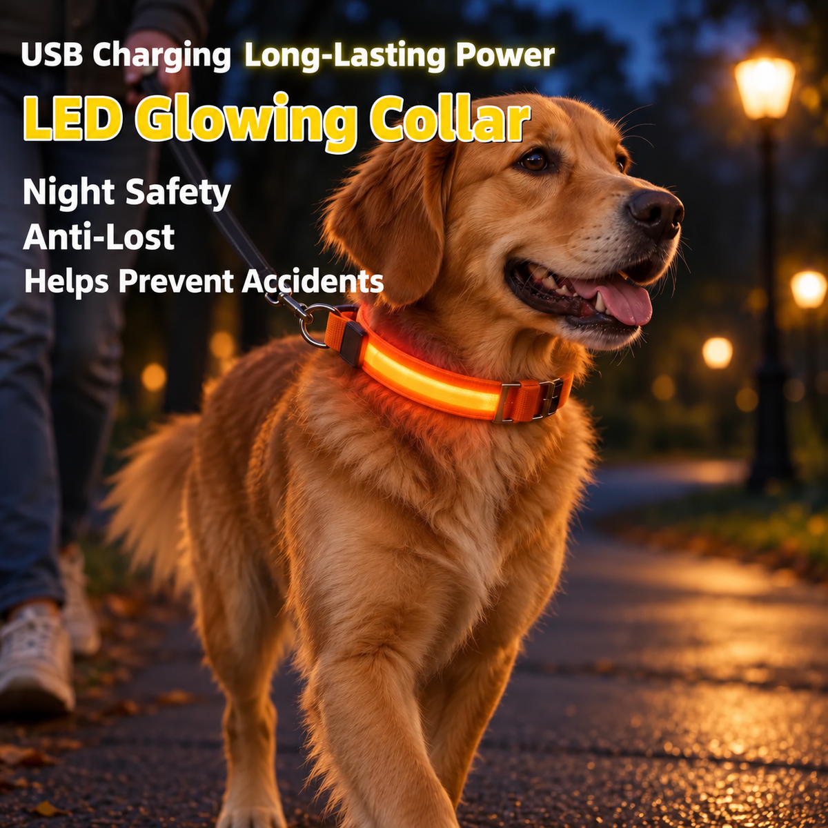🐶 LED Safety Dog Collar – Don't Let Darkness Put Your Pet at Risk! 🌙