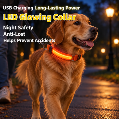 🐶 LED Safety Dog Collar – Don't Let Darkness Put Your Pet at Risk! 🌙