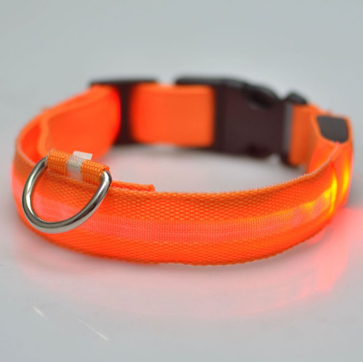 🐶 LED Safety Dog Collar – Don't Let Darkness Put Your Pet at Risk! 🌙