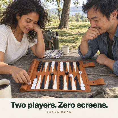 The Travel Backgammon