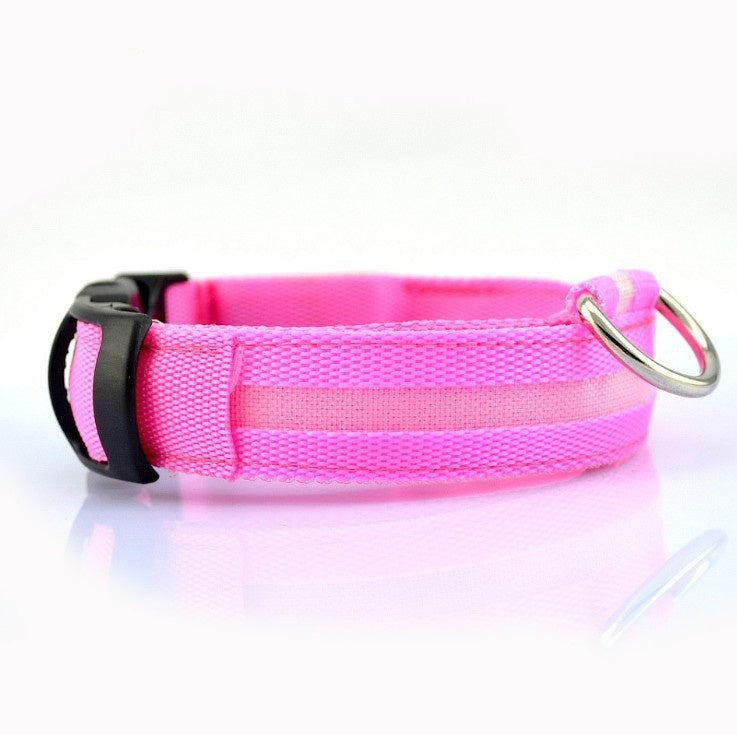 🐶 LED Safety Dog Collar – Don't Let Darkness Put Your Pet at Risk! 🌙